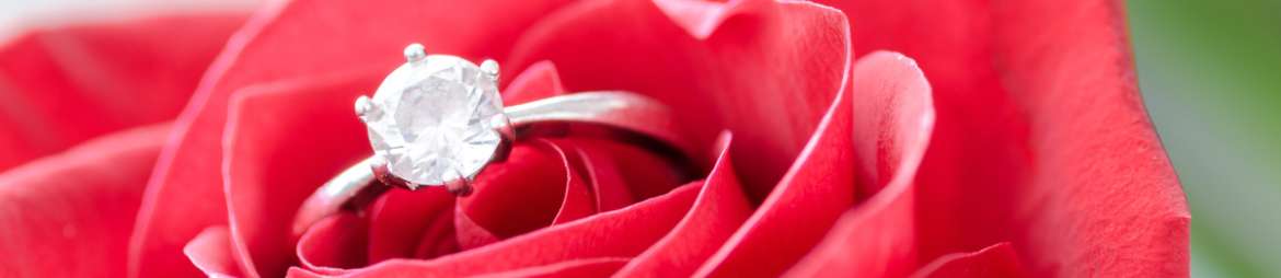 What makes The Diamond Spot unique?